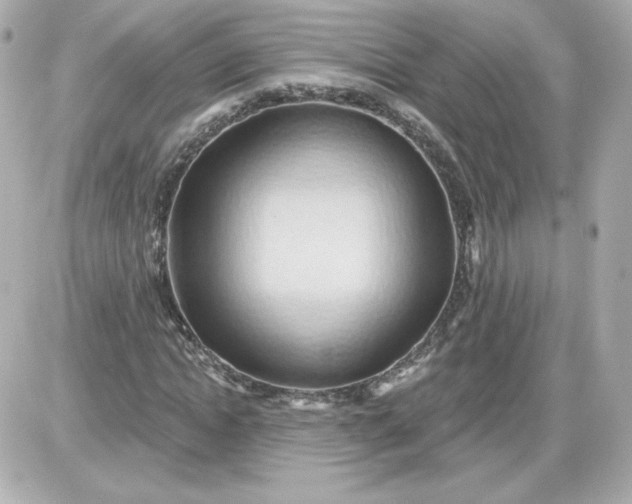 X0000087530822200705112029