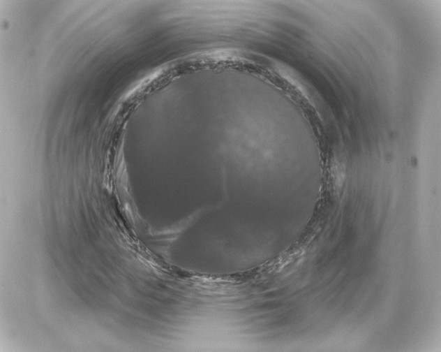 X0000087530823200705112029