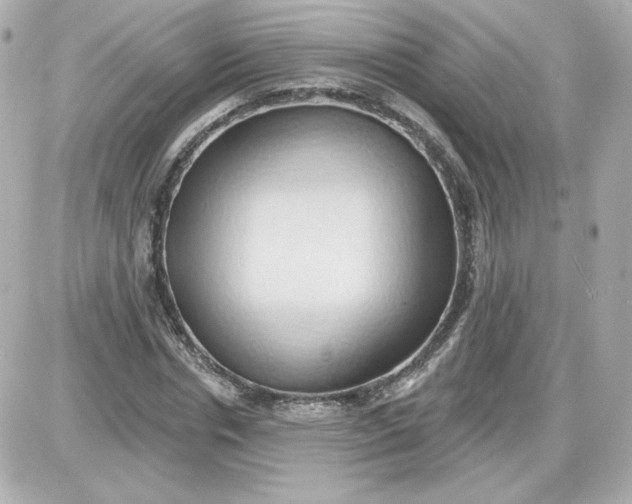 X0000087530826200705112029