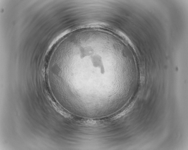 X0000087530827200705112029