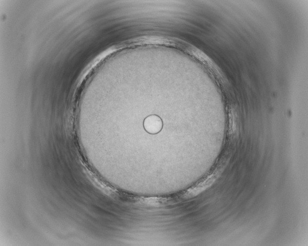 X0000087530828200705112029