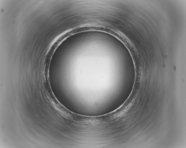 X0000087530830200705112029