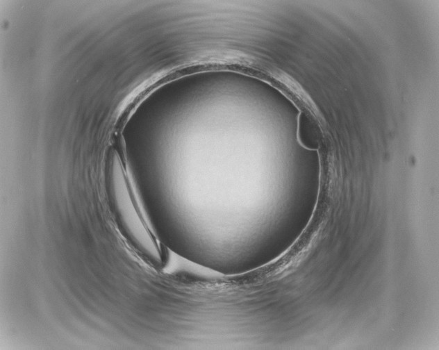 X0000087530834200705112029