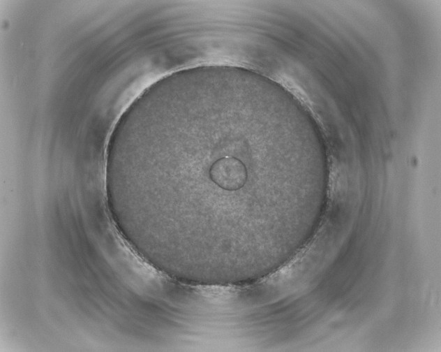 X0000087530836200705112029