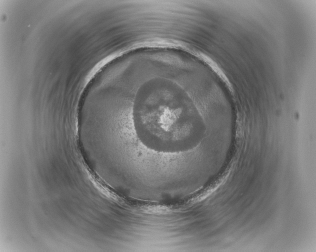 X0000087530837200705112029