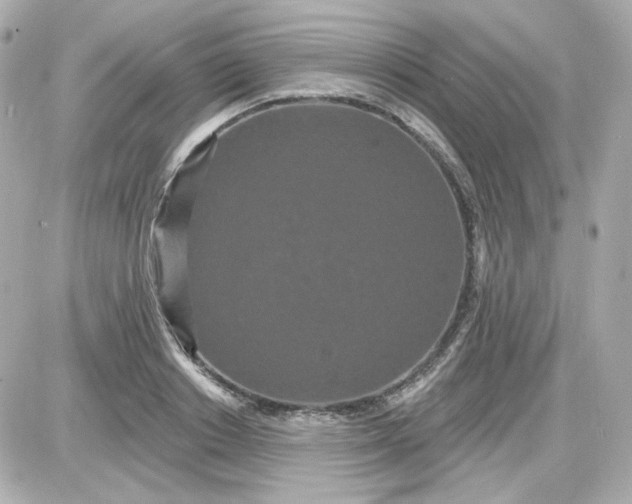 X0000087530842200705112029