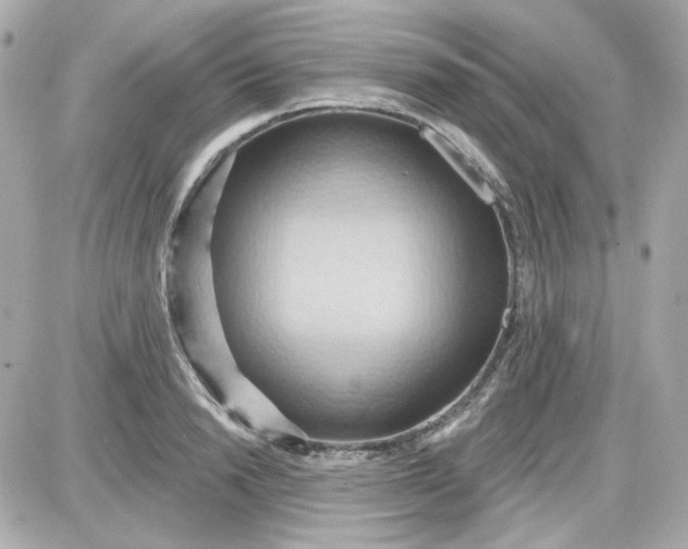 X0000087530846200705112029