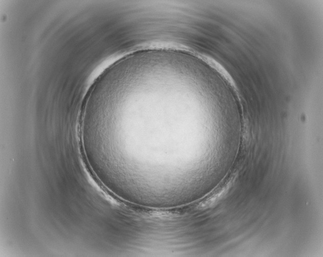 X0000087530847200705112029