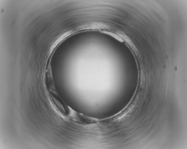 X0000087530850200705112029