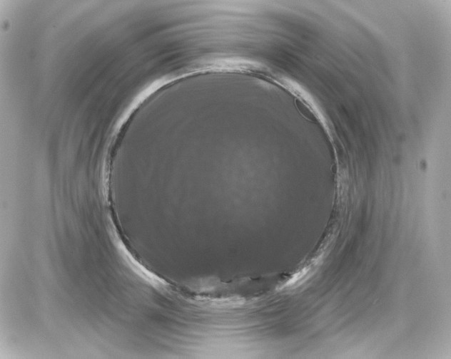 X0000087530851200705112029