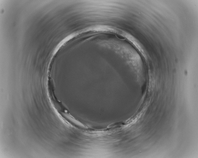 X0000087530853200705112029