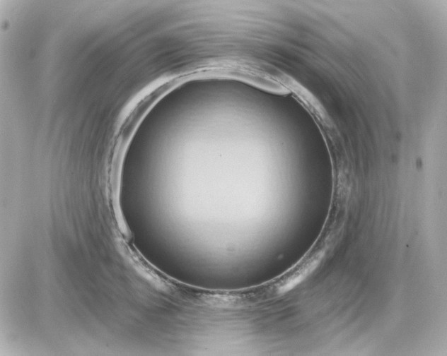 X0000087530854200705112029