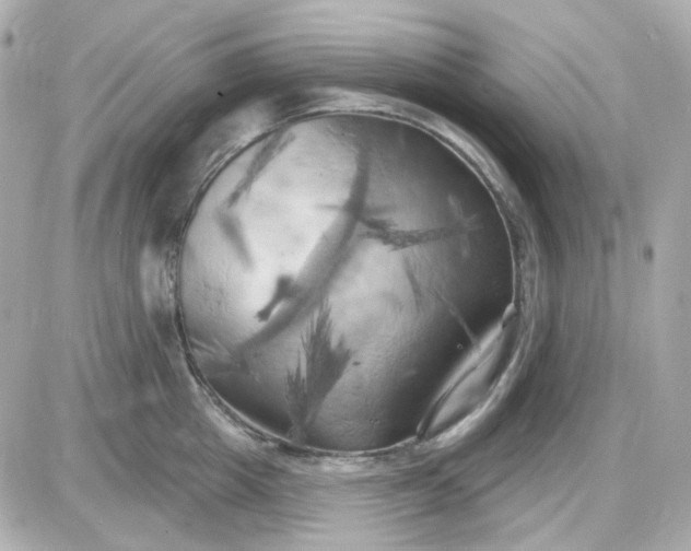 X0000087530857200705112029