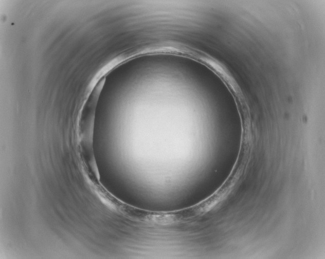 X0000087530858200705112029