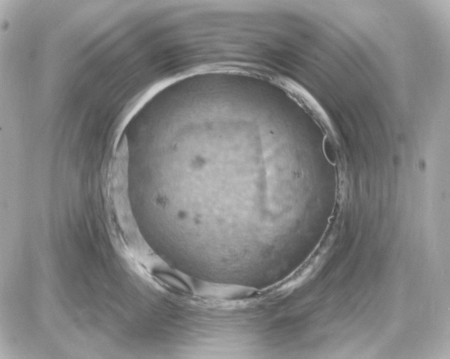 X0000087530860200705112029