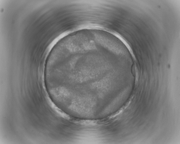 X0000087530861200705112029