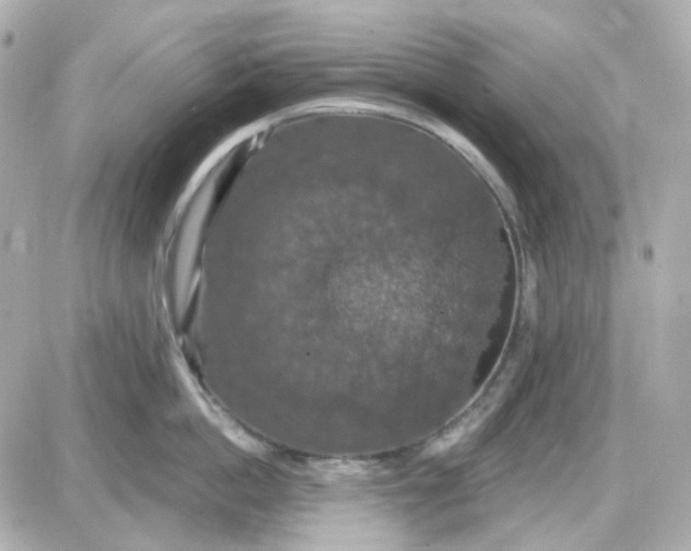 X0000087530862200705112030