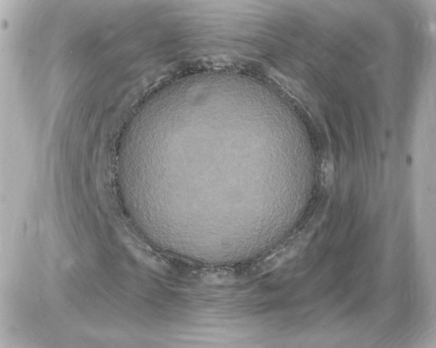 X0000087530865200705112029