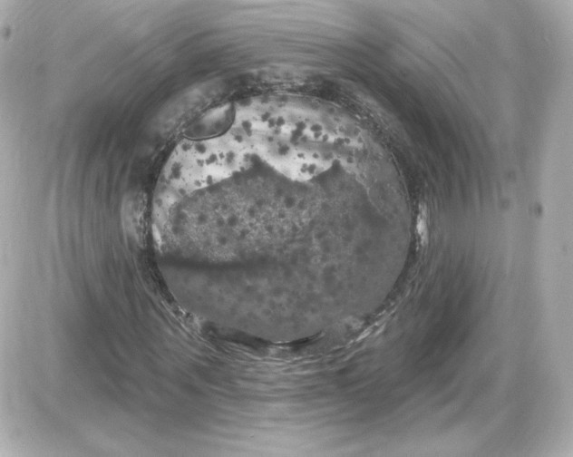 X0000087530867200705112029