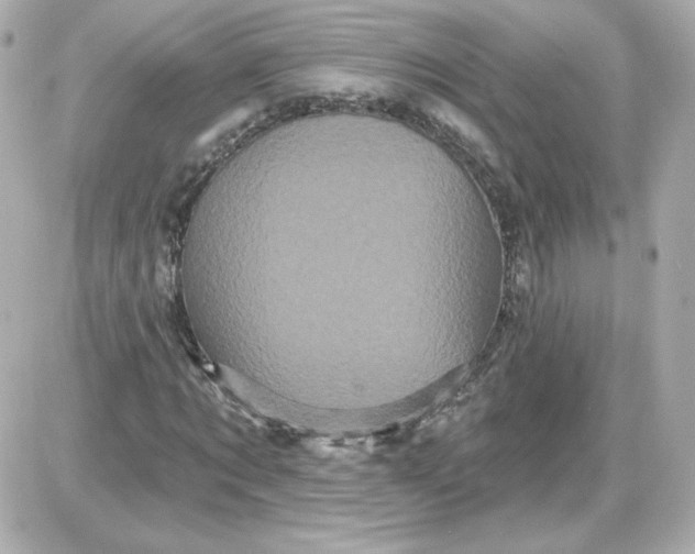 X0000087530869200705112029