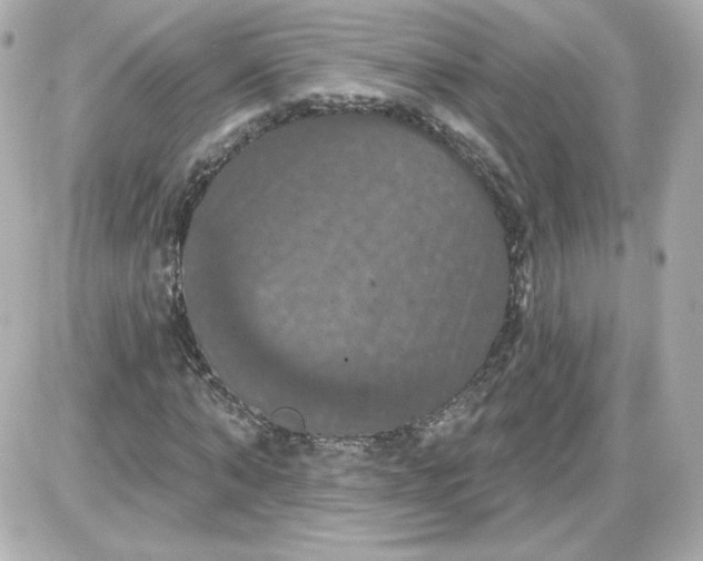 X0000087530870200705112029