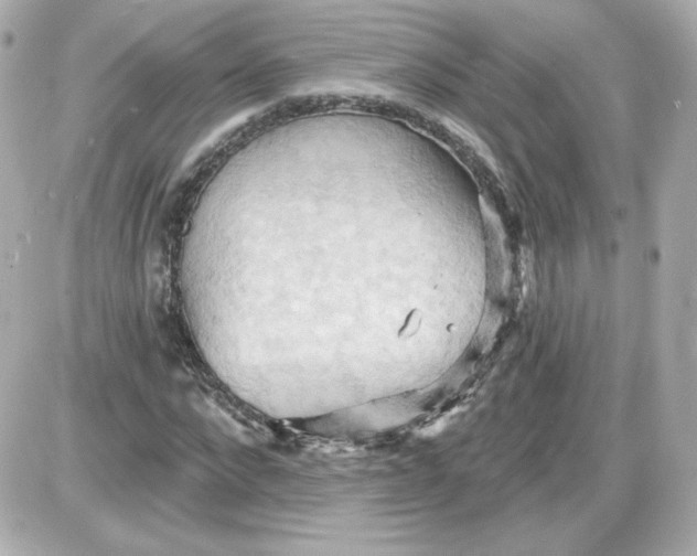 X0000087530872200705112029