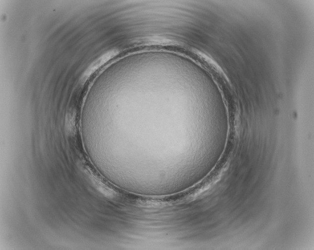 X0000087530873200705112029