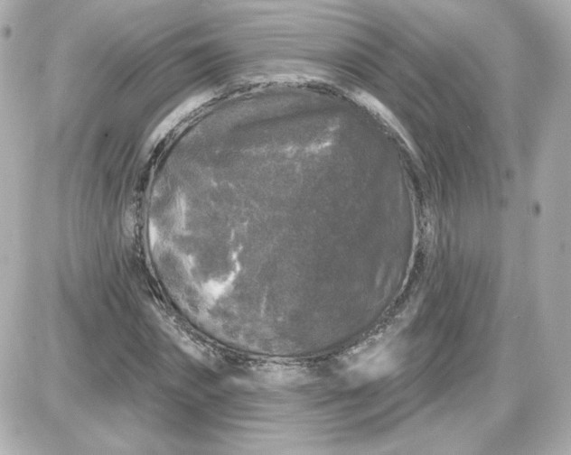 X0000087530874200705112029