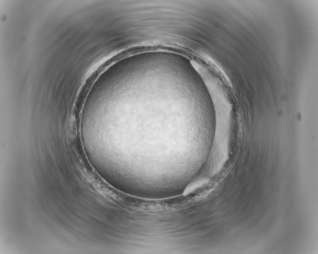 X0000087530876200705112029