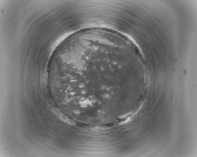 X0000087530879200705112029