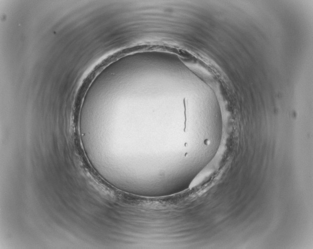 X0000087530880200705112029