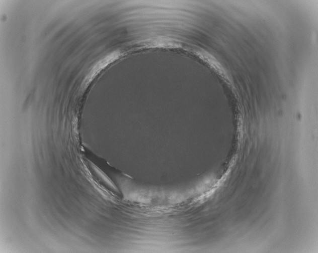 X0000087530881200705112028