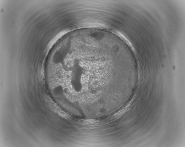 X0000087530883200705112028