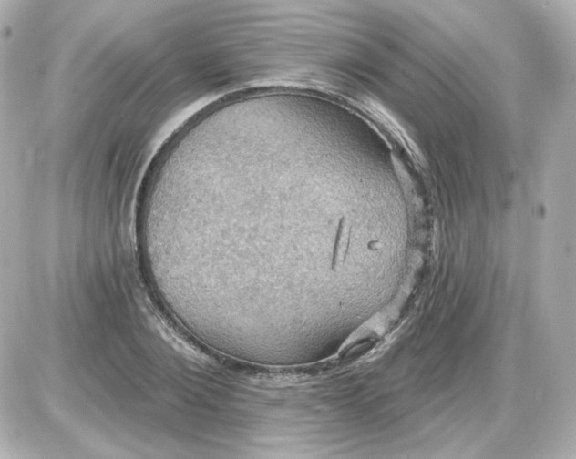 X0000087530884200705112028