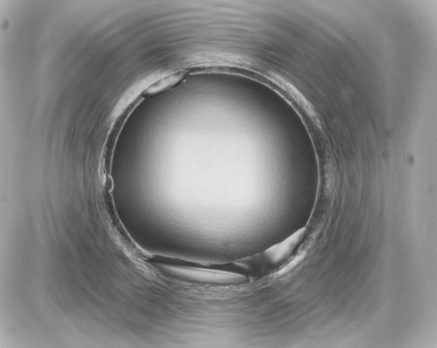 X0000087530885200705112028