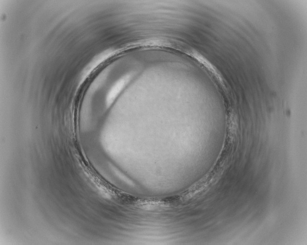 X0000087530886200705112028