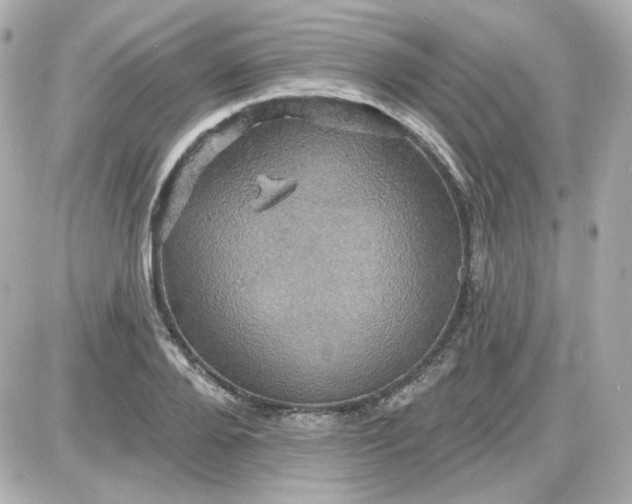 X0000087530888200705112028