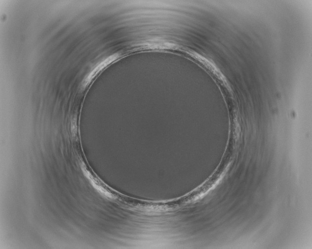 X0000087530889200705112028