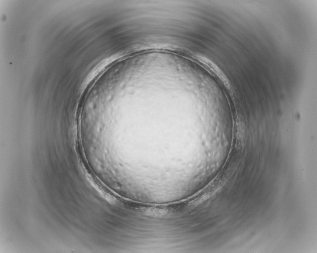 X0000087530890200705112028