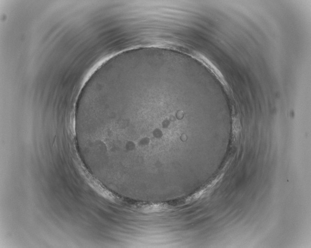 X0000087530891200705112028