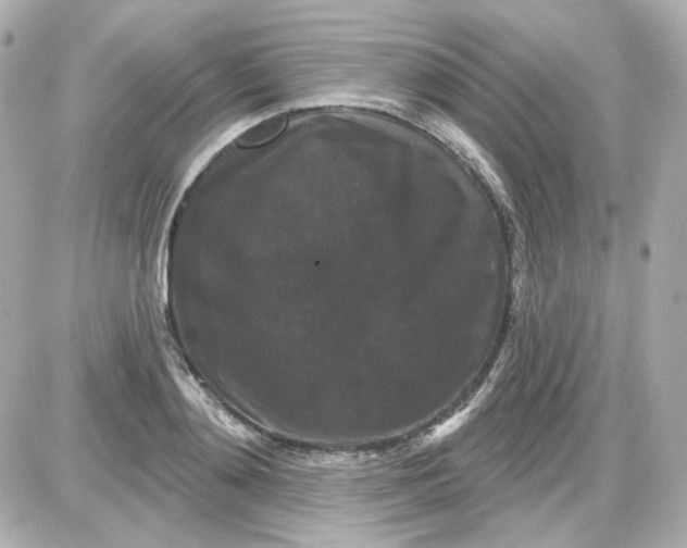 X0000087530892200705112028