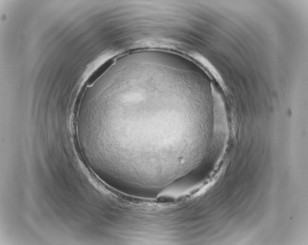 X0000087530893200705112028