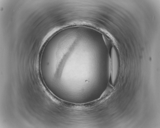 X0000087530894200705112028