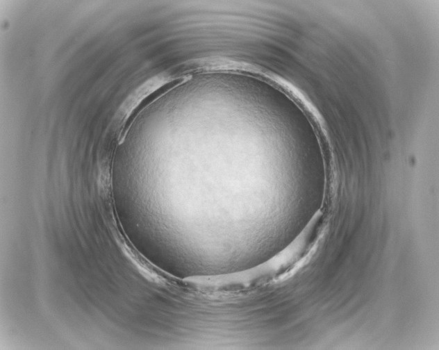 X0000087530897200705112028