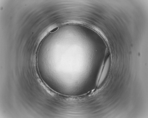 X0000087530898200705112028