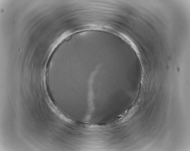 X0000087530899200705112028