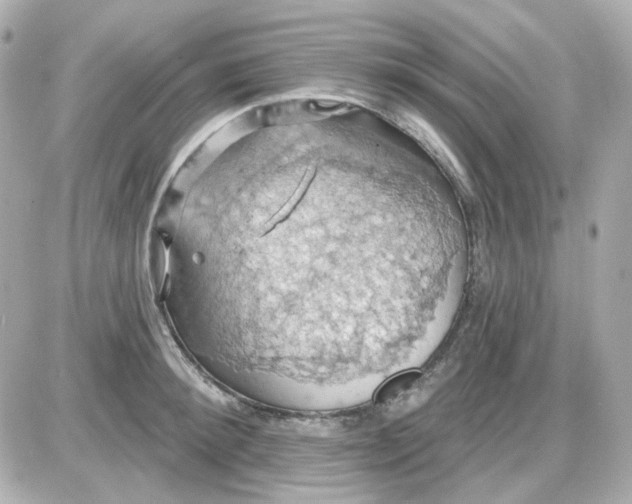 X0000087530900200705112028