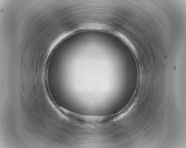 X0000087530901200705112028