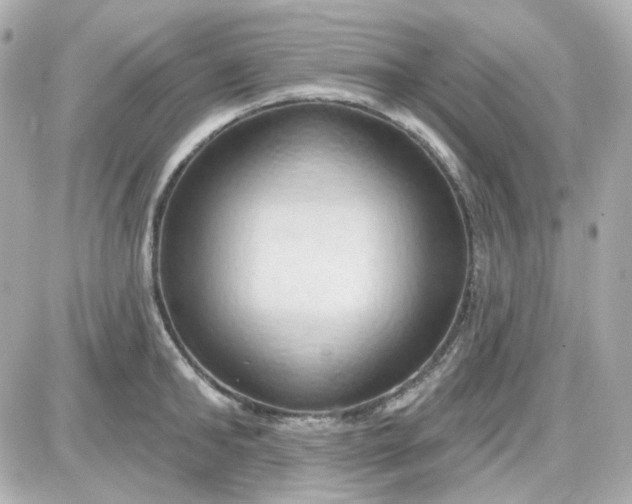 X0000087530902200705112028