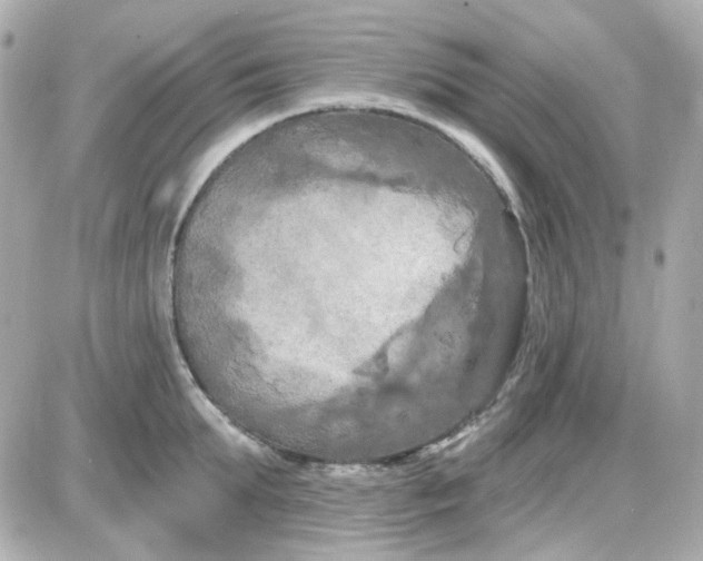 X0000087530903200705112028